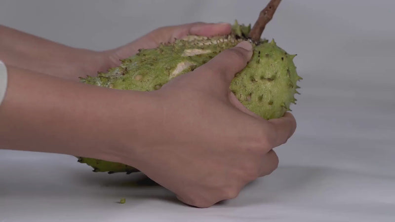 Die Soursop Frucht wird vollständig zerteilt.